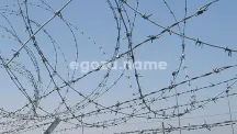 Спираль Бруно